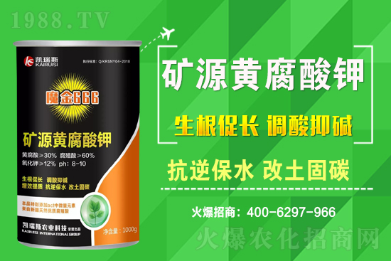 2021��3��11�ջ����r(ji��)������һ�[