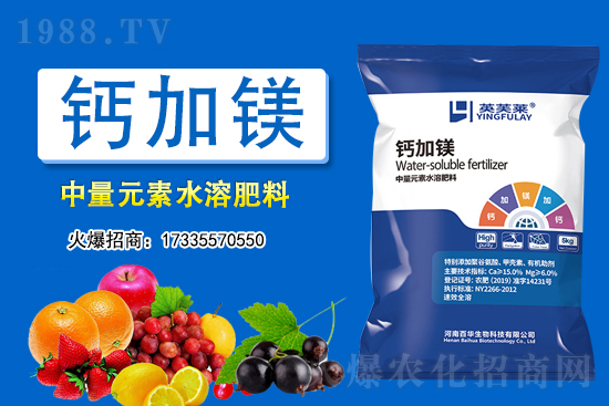 2021��3��11��ȫ�����ش󶹃r������