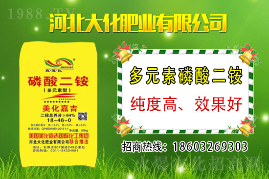 小麥價(jià)格多少錢(qián)一斤？2021年3月12日麥價(jià)格分析