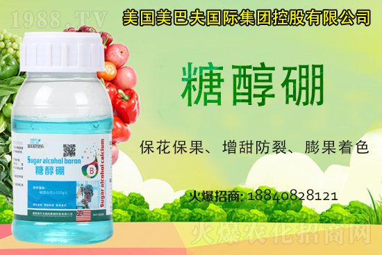 ���յ��ȶ����Xһ����2021�굾�ȃr���Ƿ�߀���q��