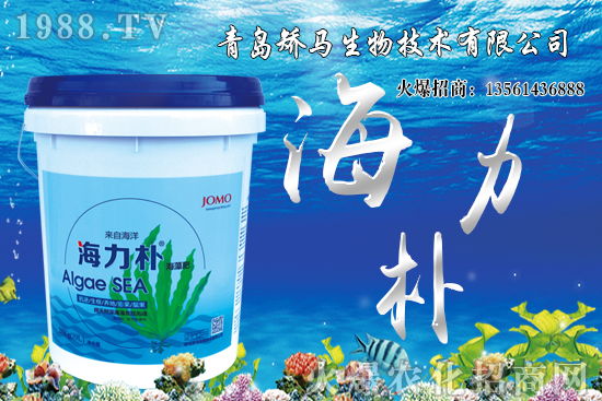 ѩ����r(ji��)������X(qi��n)һ����2021��Nֲѩ����ٍ�X(qi��n)����