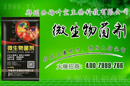 �����m��¶��������߲�Ʒ�N����Щ������Щ�Nֲע�����(xi��ng)��