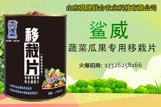 �����������������L������...���߲˶�ֲ�ؿ�