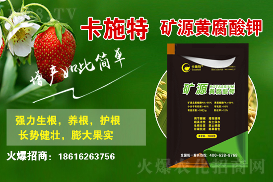 ���ջ����r������Xһ����2021��3��19�ջ����r������