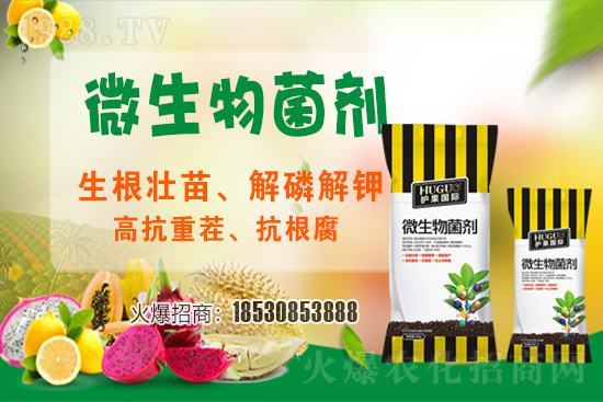 ��ݮ�����F(xi��n)���l���l(f��)������ҪԴ��ʲô������