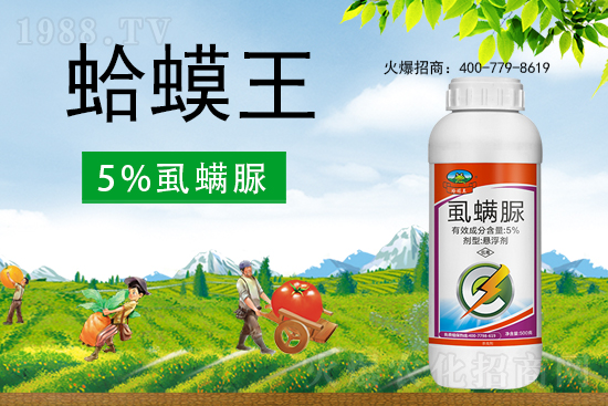 ʭ����������ô�������x(ch��ng)���c(di��n)��ʲô��