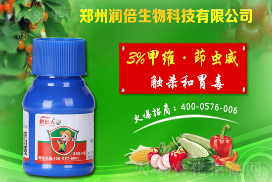 ���x�����x���r������2021��3��3��