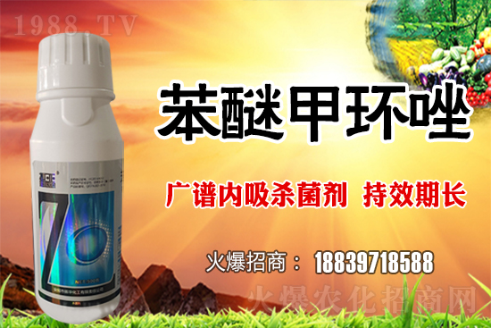 �������L�U�Ӵ���������ö�С�����o������