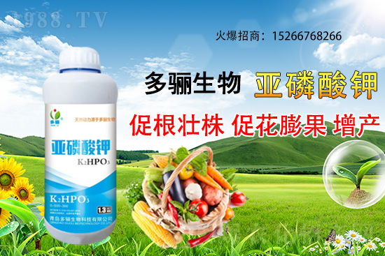 3�·��m�ϷNֲʲôˎ�ģ���Щˎ�ķNֲǰ������ٍ�X