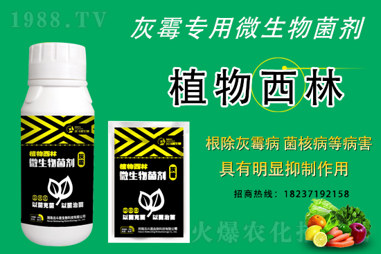 2021��4��13�՚������r���߄�