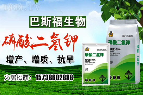 С���r(ji��)��F(xi��n)�ڶ����X(qi��n)һ�������������߄�(sh��)�����