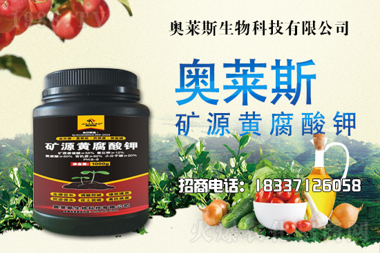 �`֥���a(ch��n)����(ji��)��ʲô�r�����`֥���϶�ľ�������༼�g(sh��)��