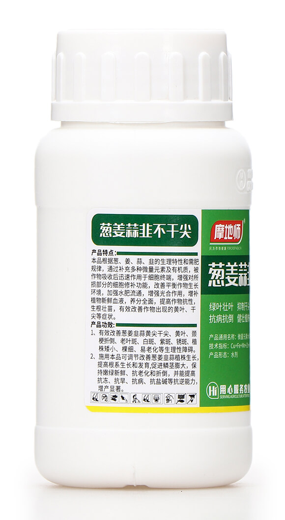 �[����²��ɼ� Ħ�؎�6