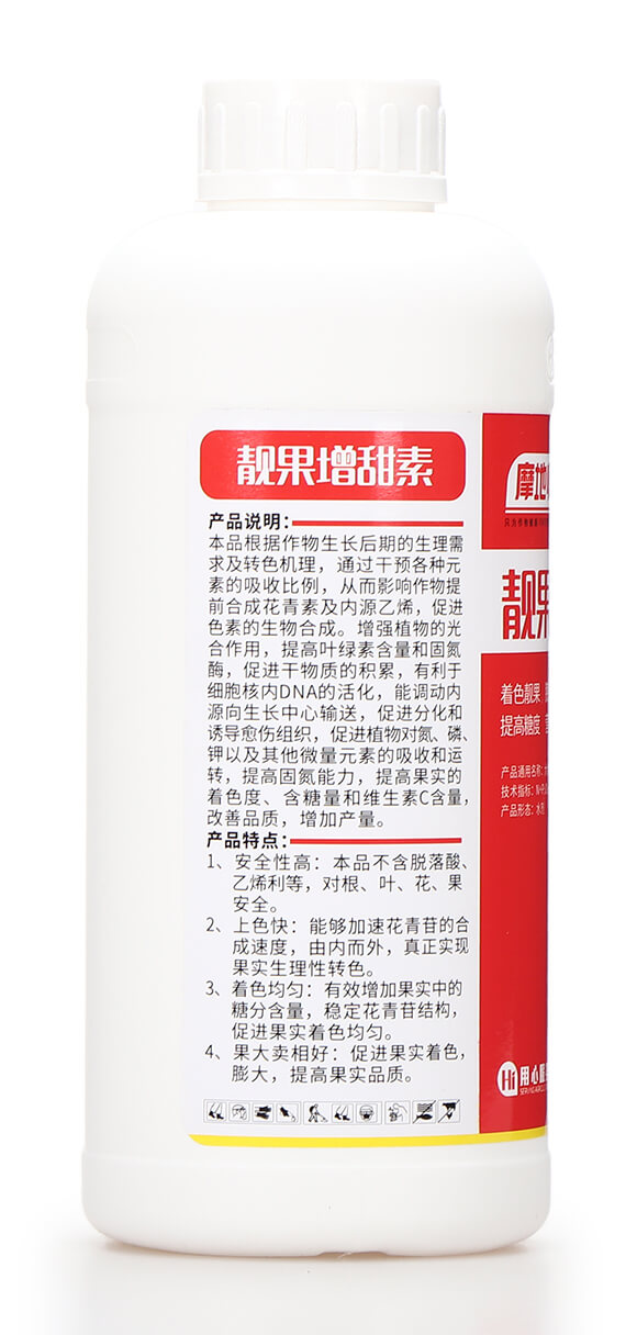 �n�������� Ħ�؎�6