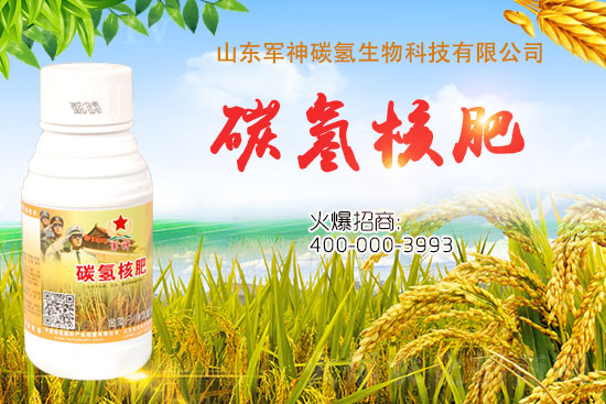 ̼��˷���ʲô�ʣ���ʲôЧ���@ô����