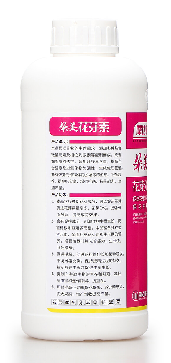 ������ѿ�� Ħ�؎�6