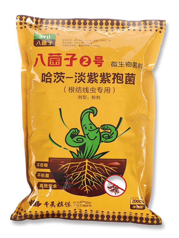 ����-�������߾�-�˾���2̖-ǧ��ֲ��4