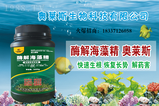 �󶹃r(ji��)��߀��(hu��)�ϝq�������մ󶹃r(ji��)������