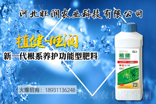 �{ݮ������ô�Nֲ���{ݮ����ķNֲ���޼����ݼ��g��