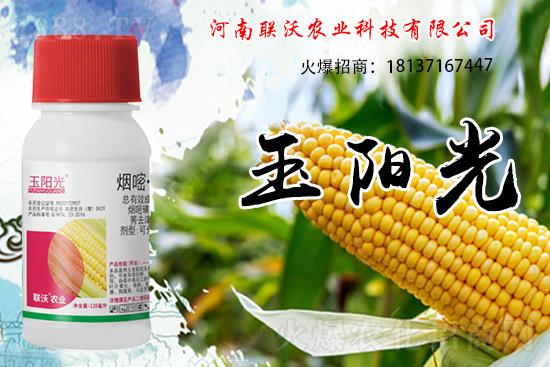 ���׳��ݞ�ʲô�x����������������݄���δ���