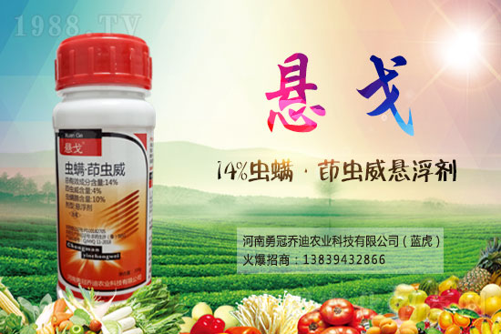 2021��5��13�՚��x���r���Ӎ