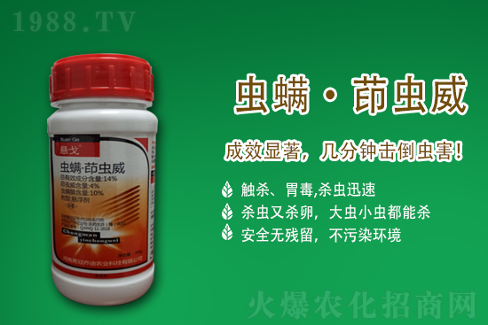 2021.5.19����������rˎ�r���߄�