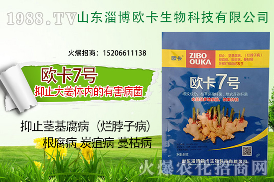 �W�������ٺ�1988.TV������(sh��)�F(xi��n)��I(y��)�v�w��(m��ng)��