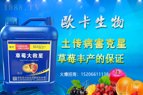 �W�������ٺ�1988.TV������(sh��)�F(xi��n)��I(y��)�v�w��(m��ng)��