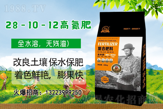 �����������������A���r�������ٺ�1988.TV��(chu��ng)���x�ͣ�