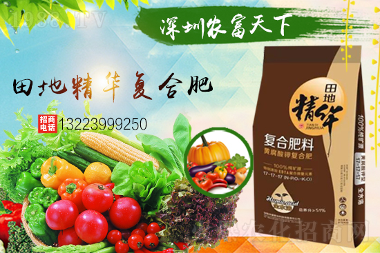 �����������������A���r�������ٺ�1988.TV��(chu��ng)���x�ͣ�