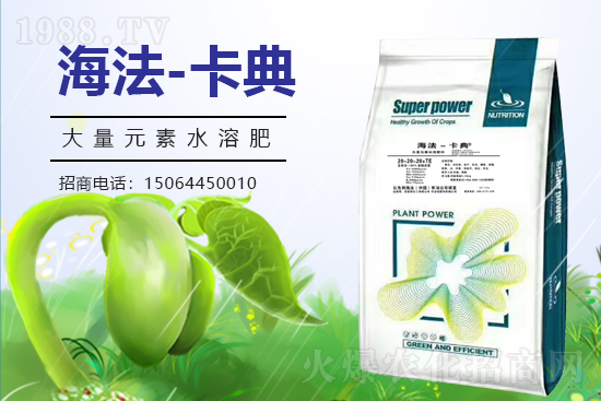 �r(n��ng)���W(w��ng)ϲӭ���������y���Z��˹����ؔ��֮·��