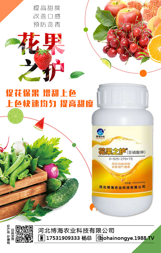 �����r(n��ng)���ٴ����v���r(n��ng)�����̾W(w��ng)����(sh��)�F(xi��n)��I(y��)�°l(f��)չ��