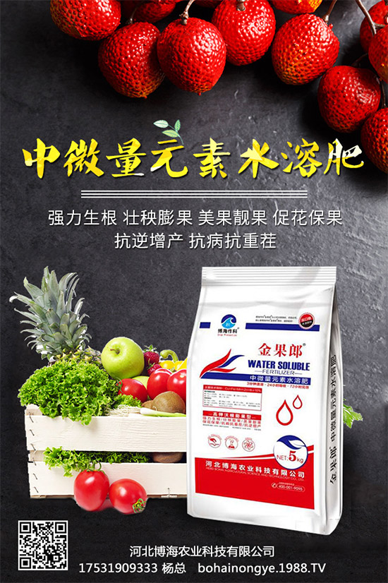 �����r(n��ng)���ٴ����v���r(n��ng)�����̾W(w��ng)����(sh��)�F(xi��n)��I(y��)�°l(f��)չ��