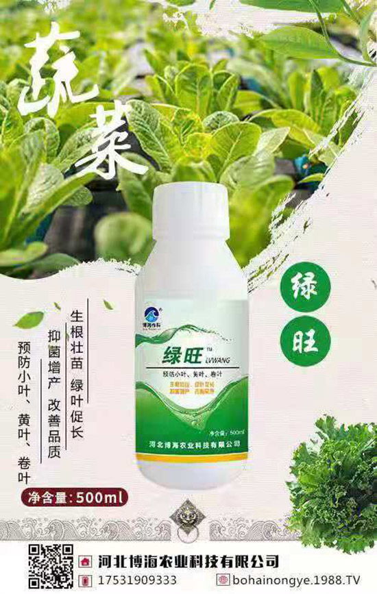 �����r(n��ng)���ٴ����v���r(n��ng)�����̾W(w��ng)����(sh��)�F(xi��n)��I(y��)�°l(f��)չ��