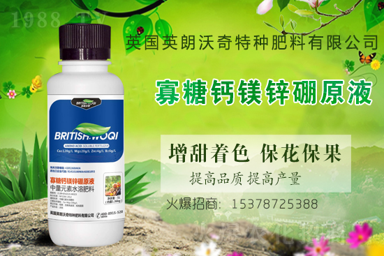 Ӣ������ɹ����s1988.TV���y�ֹ���(chu��ng)��(zh��n)����