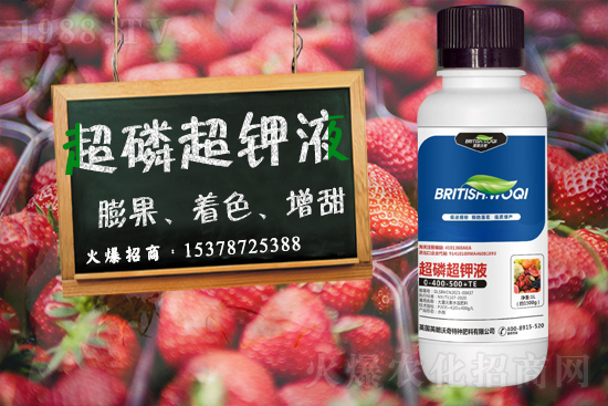 Ӣ������ɹ����s1988.TV���y�ֹ���(chu��ng)��(zh��n)����