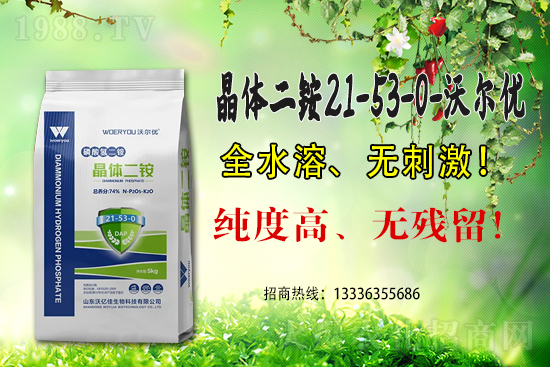 ���@�߃r(ji��)�����ڇ�(gu��)��(n��i)���@�r(ji��)��������?q��ng)?b��o)��6��15��