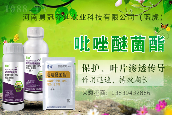 ��������(j��)���¹چ̵ϣ��{(l��n)�����ٺ�1988.TV������(chu��ng)���x�ͣ�