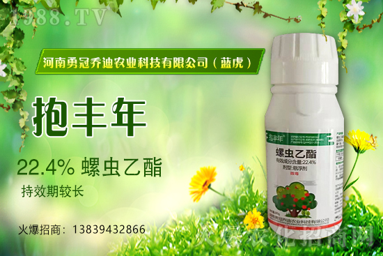 ��������(j��)���¹چ̵ϣ��{(l��n)�����ٺ�1988.TV������(chu��ng)���x����