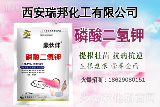 2021��6��19�Շ���⛷ʃr�������Ӎ