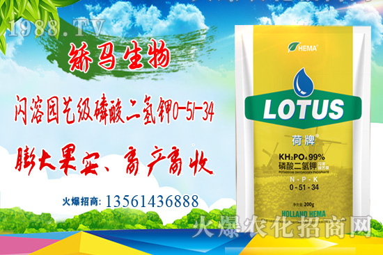 ⛷ʃr���ͦ������⛷ʃr�������߄ݣ�6��22�գ�