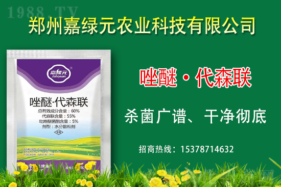 ����������(j��)���ξGԪ�r(n��ng)�I(y��)�ٺ�1988.TV������(chu��ng)���x�ͣ�