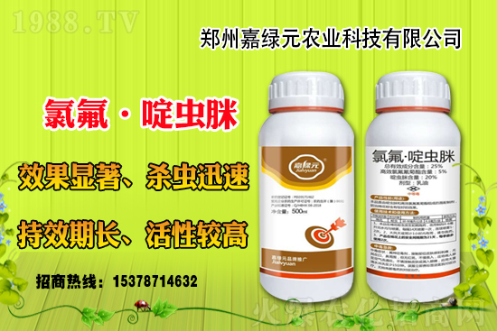 ����������(j��)���ξGԪ�r(n��ng)�I(y��)�ٺ�1988.TV������(chu��ng)���x����