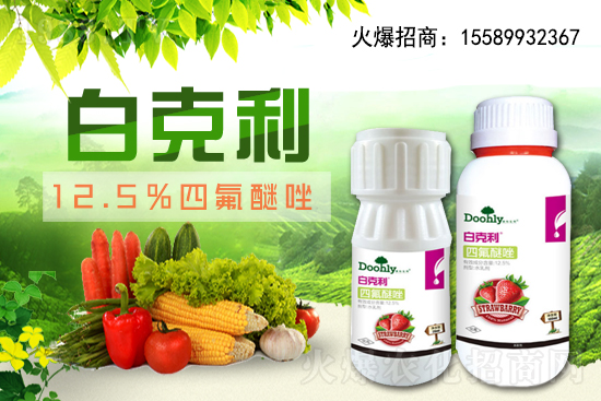 ��(gu��)�|���m(x��)�s1988.TV����(zh��n)�Ժ����P(gu��n)ϵ�������_(t��i)�A��