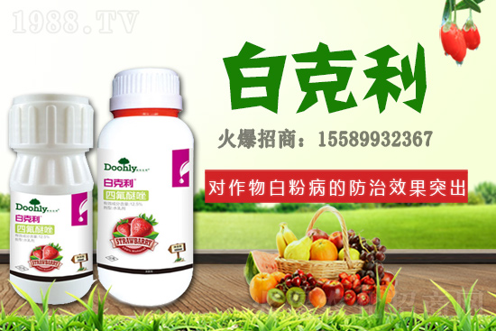 ��(gu��)�|���m(x��)�s1988.TV����(zh��n)�Ժ����P(gu��n)ϵ�������_(t��i)�A��