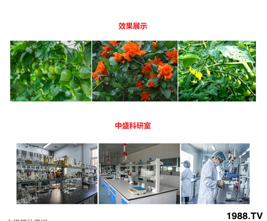 �����ɫ�ͺ���ֲ��ˮ�ܷ� ��ؾ��A �r(n��ng)������4