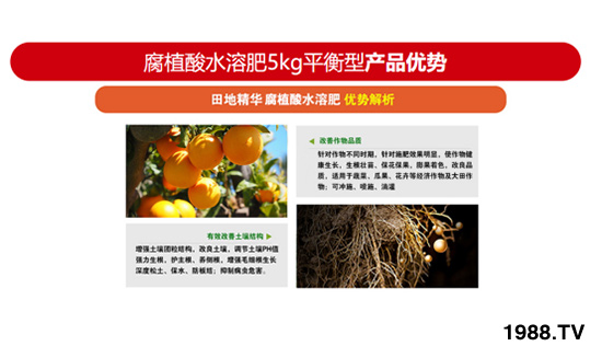 ƽ�����L(zh��ng)�ͺ���ֲ��ˮ�ܷ� ��ؾ��A �r(n��ng)������3