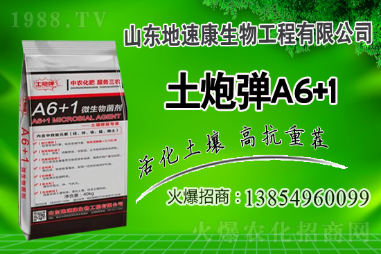    �����P(gu��n)ϵ�����A��ɽ�|���ٿ��c1988.TV�_����ƪ����