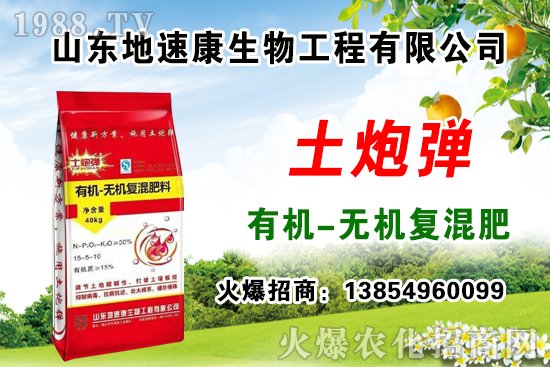    �����P(gu��n)ϵ�����A��ɽ�|���ٿ��c1988.TV�_����ƪ�£�