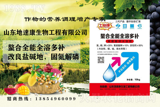    �����P(gu��n)ϵ�����A��ɽ�|���ٿ��c1988.TV�_����ƪ����